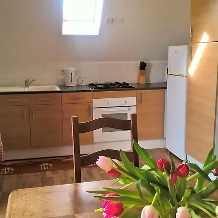 Holiday home De Bigorre Cieutat